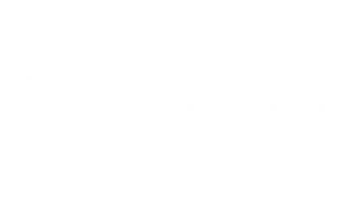 Logo-insiel