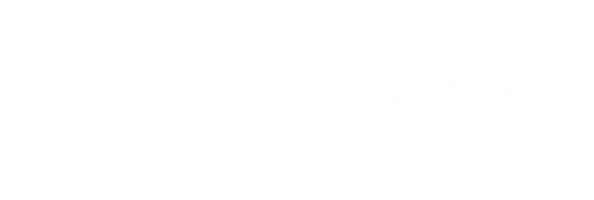Logo-team-system